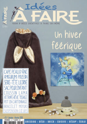 Couverture Idées à Faire 13 spécial hiver