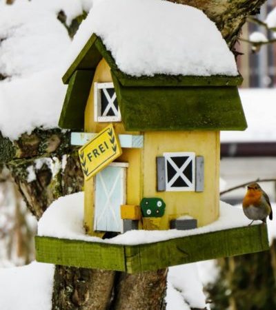 Maison pour oiseaux