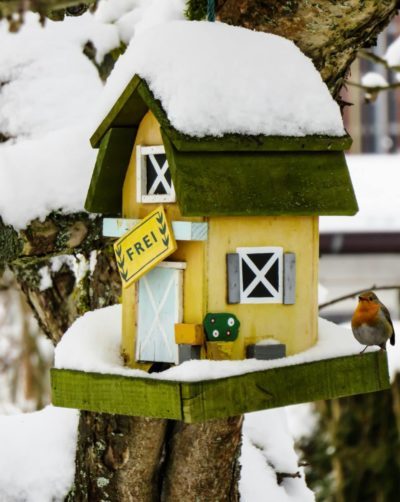 Maison pour oiseaux